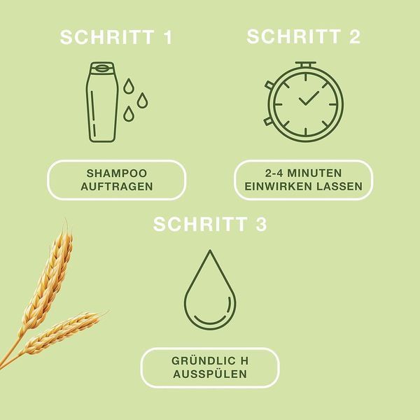 Priorin shampoo Bayer 200 мл шампунь Пріорін проти випадіння для кращого росту волосся - ніжний догляд за волоссям Німеччина 1393106246 фото