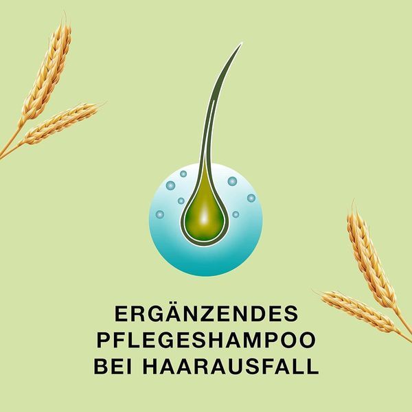 Priorin shampoo Bayer 200 мл шампунь Пріорін проти випадіння для кращого росту волосся - ніжний догляд за волоссям Німеччина 1393106246 фото