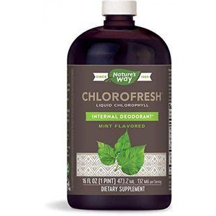 Жидкий хлорофилл Натур Вей со вкусом мяты антиоксидантная защита liquid Chlorophyll Nature's Way 473 мл США 1428543010 фото